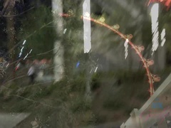 Enthousiasteling, Kont, Zwart, Vriendin, Dikke tepels, Geschoren, Roken, Onder de rok