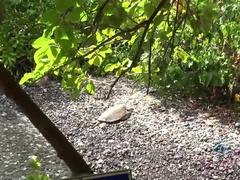 Amateur, Exhib, Poilue, Orgasme, De plein air, Pov, Public, Chatte