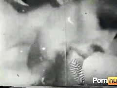 Gros seins, Sucer une bite, Brunette brune, Seins naturels, Orgie, Rasée, Adolescente, Rétro ancien