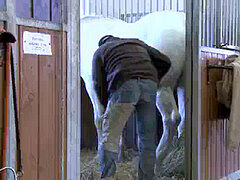 Anal, Mamada, Médico