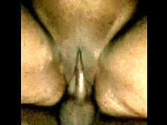 Amateur, Gros cul, Gros seins, Sucer une bite, Noir ébène, Hd, Rugueux