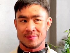 アジア人, お尻, 美人, フェラチオ, チン, ゲイ, 天然, 乳首