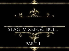 Horny MILF and her black sexmate