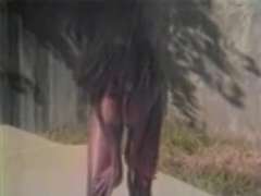 Schwarz, Schwarz, Behaart, Vintage