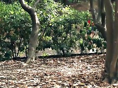デカパイ, 露出狂, オナニー, 公共