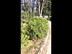homemade porn asian  - giving head