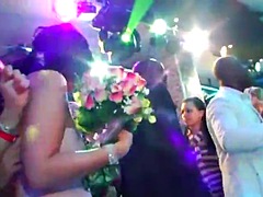 Grosse bite, Mariée, Groupe, Hard, Orgie, Fête, Actrice du porno, Public