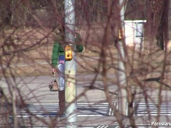 Morena, Hembra, Masturbación, Al aire libre, Estrella porno, Coño, Afeitado, Solo