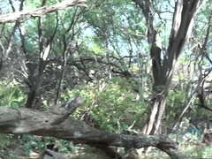 Playa, Rubia, Novia, Desnudo, Perforación, Coño, Afeitado, Flaco