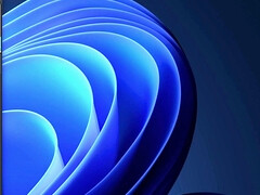 Leie, Tussi, Grosse titten, Vollbusig, Selbstgemacht, Latina, Schlampe, Hure