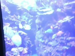 ビキニ, 指いじり, 彼女, オイル, ピアス, ハメ撮り, 靴下, バイブレーター