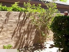 アナル, お尻, デカ尻, デカパイ, ブロンド, ドイツ人, 淫乱熟女, 濡れ