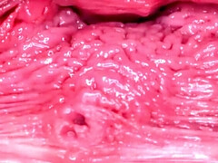 Amateur, Gros seins, Hard, Fait maison, Chatte, Rasée, Pute, Mouillée