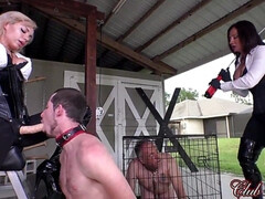 Блондинки, Брюнетки, Женское доминирование, Фетиш, Группа, Хд, Милф, Порка