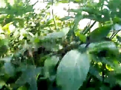 Playa, Negro, Corrida, Cornudo, Grupo