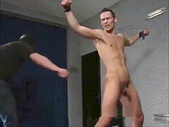 Papi, Schwul, Hintern versohlen