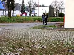 Enthousiasteling, Stel, Man die toekijkt, Tsjechisch, Hondjeshouding, Hd, Geld, Vrouw