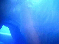 Leie, Grosse titten, Blondine, Blasen, Braunhaarige, Handjob, Hd, Im freien