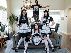 Cuties Brooke Johnson, Kitty Cam and Lily Thot love hard pound