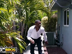 Lilly Hall's compilation of interracial sex with big dicks and monster babes