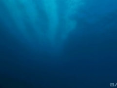 アナル, ブロンド, イく瞬間, ダブル開発, 顔射, アウトドア, 三人