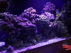 Amateur, Robe, Poilue, Orgasme, De plein air, Chatte, Nénés, Voyeur