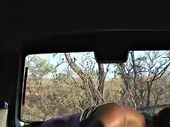 chubby african babe fucked at my safari