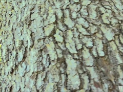 Крупный план, Танцы, Экстремальный секс, Пальцем, Массаж, Мастурбация, На публике, Сквиртинг