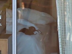 Bureau, Voyeur