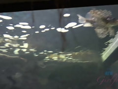 Amateur, Blonde, Grossier, Poupée, Doigter, Masturbation, Pov, Chatte