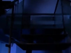 アジア人, 緊縛, 女, 日本人, オーガズム, 教師, ティーン, 三人