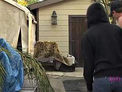 Блондинки, Минет, Семяизвержение, Ласковые ручки, Секс без цензуры, Развязные, Сиськи