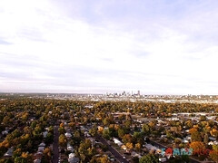 Sucer une bite, Famille, Léchez, Chatte