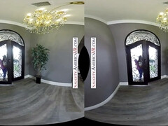 Grote mammen, Bruinharig, Rondborstig, Hardcore, Natuurlijke tieten, Kut duiken, Realiteit, Tieten likken