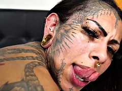 アナル, シーメール