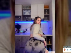 Leie, Netzkamera