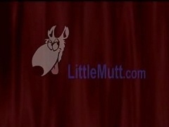 Young Kitten Gets One Of A Kinde Erotic Massage