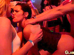 breezy toyed at glam hump