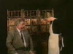 Любители, Оргазм