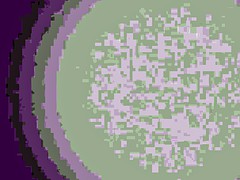 Leie, Tussi, Braunhaarige, Pummelig, Masturbation, Spielzeuge