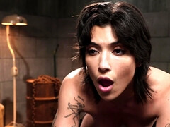 Bondage discipline sadomasochisme, Bruinharig, Billekoek