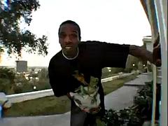 Mamada, Animadora, Corridas, Interracial