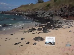 You get a handjob the following morning