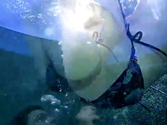 In den arsch, Grosse titten, Braunhaarige, Schwanz, Milf