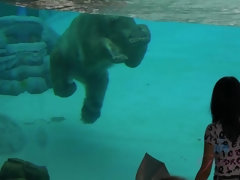 Leie, Besamung, Freundin, Masturbation, Pov, Muschi, Rock, Titten