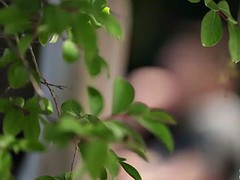 Красотки, Большой член, Брюнетки, Сосущие, Сиськи