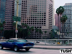 Анальный секс, Блондинки, Минет, Кончили внутрь, Собачьи, Большие дырки, Хд