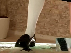 Amateur, Asiatique, Fétiche, Japonaise