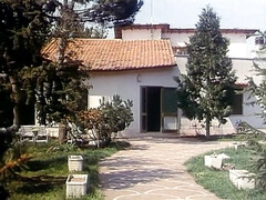 Gros seins, Blonde, Sucer une bite, Brunette brune, Queue, Hard, Mère que j'aimerais baiser, Rétro ancien