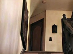 Badpak, Beroemdheid, Softcore pornografie, Tieten likken